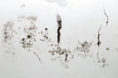 Infiltration and mold on the ceiling Stock Photos