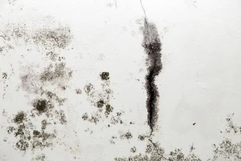 Infiltration and mold on the ceiling Foto stock