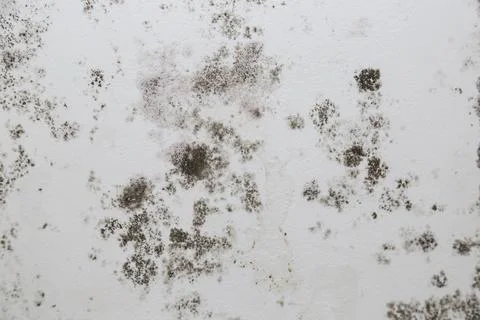 Infiltration and mold on the ceiling Stock Photos