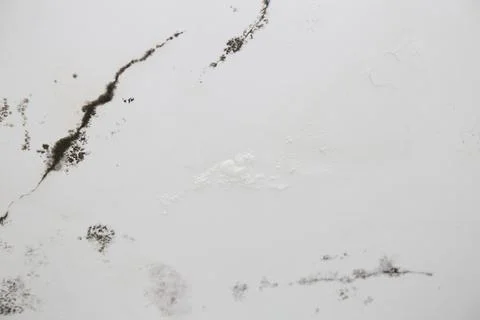 Infiltration and mold on the ceiling Stock Photos