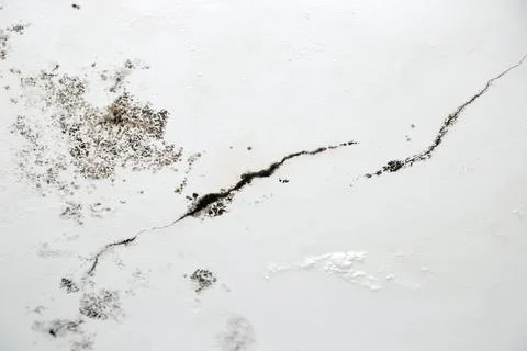 Infiltration and mold on the ceiling Stock Photos