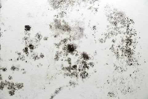 Infiltration and mold on the ceiling Stock Photos