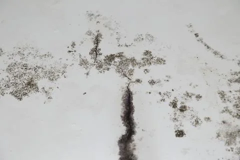 Infiltration and mold on the ceiling Stock Photos