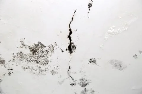 Infiltration and mold on the ceiling Stock Photos