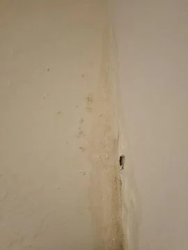 Infiltration in a wall Stock Photos