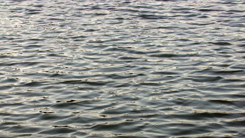 Infinite background of water waves move in lake. Blue, gray to black colors. Stock Footage 162649688