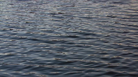 Infinite background of water waves move in lake. Blue, gray to black colors. Stock Footage 162650189