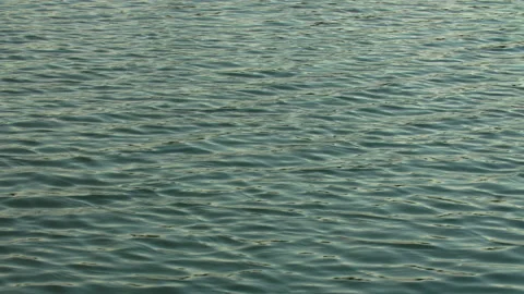 Infinite background of water waves move in lake. Blue, gray to black colors. Stock Footage 162879610