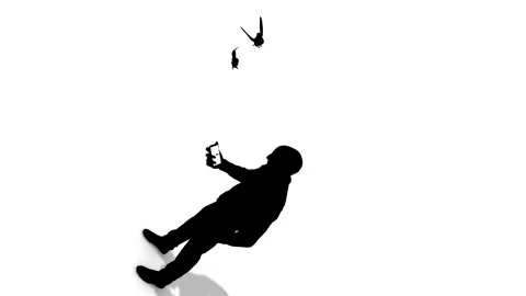 Infinite Droste Loop With Smartphone Silhouette and Flying Birds Promoting Peac Stock Footage 322986443