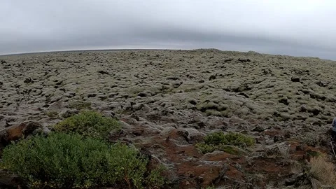 Infinite Eldhraun lava field covered in green moss, Iceland Stock Footage 334319574