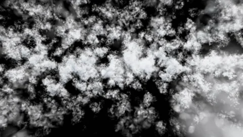 Infinite Flying through Clouds Chroma Key Loop Stock Footage 141201005