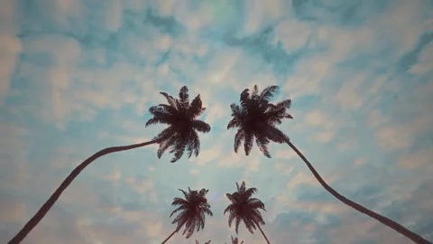 Infinite road with palm trees on both sides moving fast with a cloudy blue sky Stock Footage 249356857