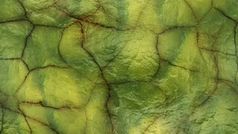 Infinite vertical motion of a leaf surface in 4k Stock Footage 167791447