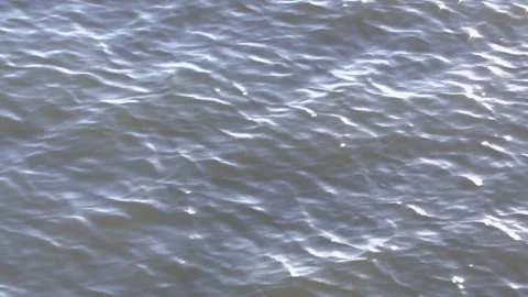 Infinite water waves background move in lake. Natural unicolor texture footage Stock Footage 149027670
