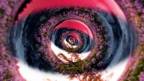Infinite zoom through winter summer seasons, abstract surreal Video stock 75929126