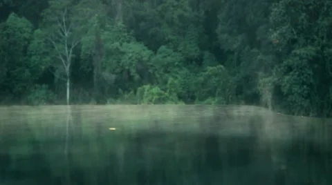 Infinity Pool against jungle, early morning mist Stock Footage 64722513