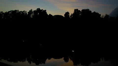 Infinity Pool against jungle Timelapse Stock Footage 64722101