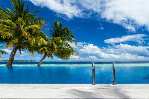 Infinity pool with coco palms Stock Photos