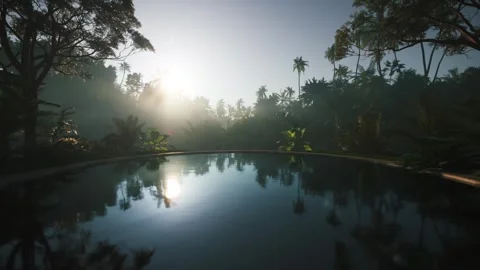 Infinity Pool in Jungle at Sunrise Stock Footage 334060356