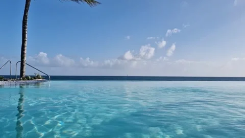Infinity Pool of Luxury Resort and Caribbean Sea Horizon. Luxury Tropical Stock Footage 344403038