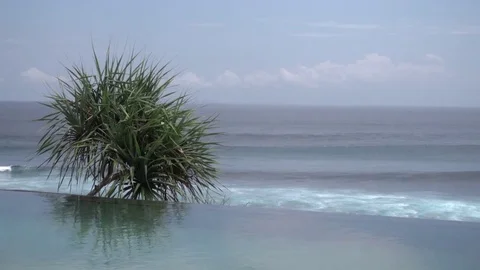 Infinity pool over the ocean Video stock 82897014
