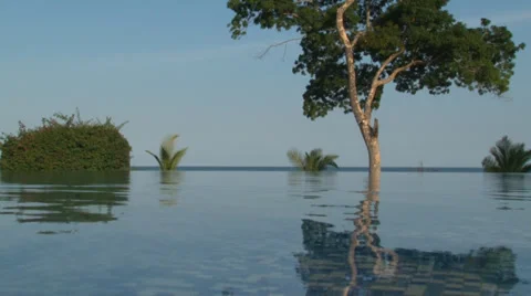 Infinity pool with palm branches in background. Stock Footage 28837113
