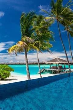 Infinity pool with palm trees over blue lagoon in Maldives Stock Photos