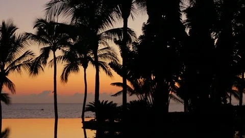 Infinity pool in paradise at sunset. Palm tree silhouettes. pan down A Stock Footage 107275255