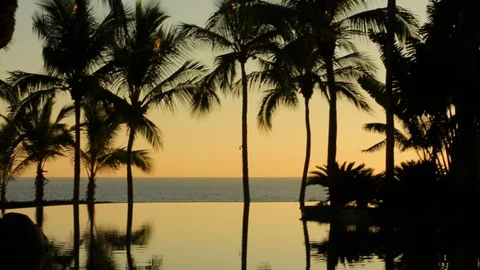 Infinity pool in paradise at sunset. Palm tree silhouettes. pan A Stock Footage 107275271