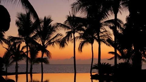 Infinity pool in paradise at sunset. Palm tree silhouettes. pan down C Stock Footage 107275313