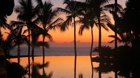 Infinity pool in paradise at sunset. Palm tree silhouettes. static Stock Footage 107275314