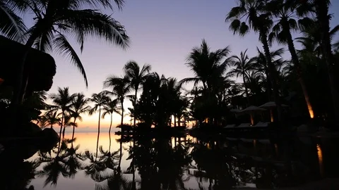 Infinity pool in paradise at sunset. Palm tree silhouettes. wide static Stock Footage 107275338