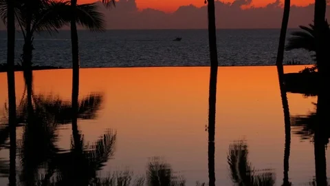 Infinity pool in paradise at sunset. Palm tree silhouettes and reflections. c Stock Footage 107276073