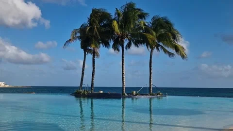 Infinity Swimming Pool With Palms and Caribbean Sea Horizon, Luxury Tropical Stock Footage 344401363