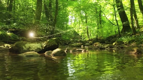 Infinity symbol inside beautiful green sunny forest stream with reflections Stock Footage 346393092