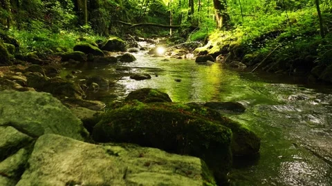 Infinity symbol inside magic green forest with river Stock Footage 346391924