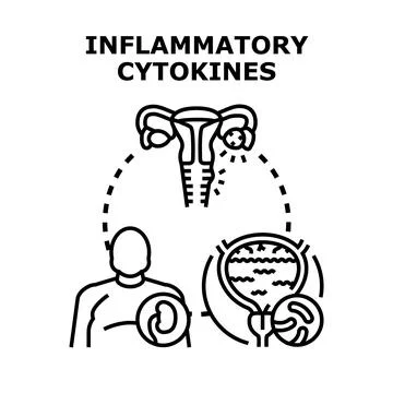 Inflammatory cytokines effecting human organs health Stock Illustration