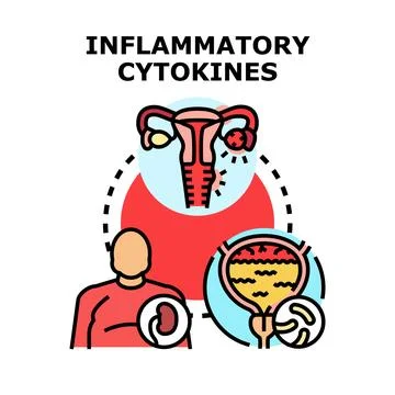 Inflammatory cytokines effecting human organs health Stock Illustration