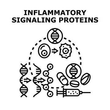 Inflammatory signaling proteins causing cellular immune response Stock Illustration