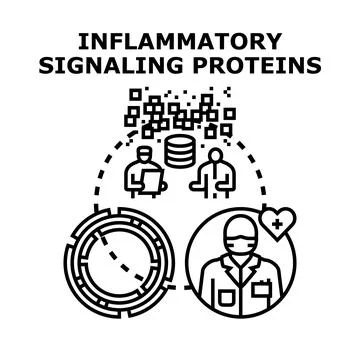 Inflammatory signaling proteins vector concept illustration Stock Illustration