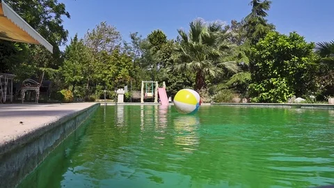 Inflatable Ball On The Pool Stock Footage 115451959