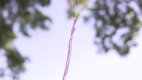 Inflatable balls in the wind Stock Footage 112247553
