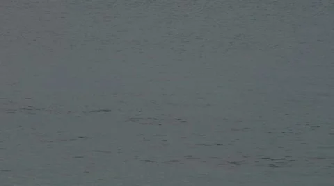 Inflatable boat 06 e Stock Footage 12035603