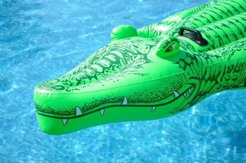 Inflatable crocodile in the pool Stock Photos