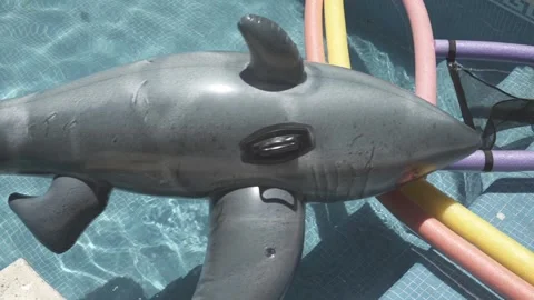 Inflatable dolphin and pool floats floating in dirty pool water Video stock 297864393