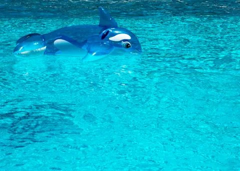 Inflatable dolphin in pool Stock Photos