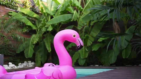 An inflatable float flamingo swims in the pool. Luxury vacation Stock Footage 160336609