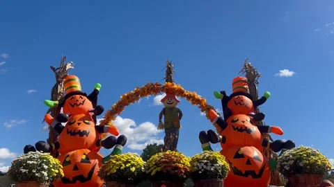 Inflatable Jack O Lanterns and Scarecrow Arch in Autumn Display Stock Footage 347097284
