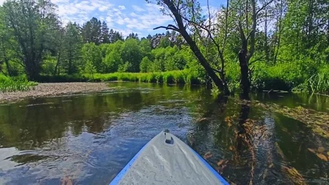 A inflatable kayak quickly floats down the river Stock Footage 237546529