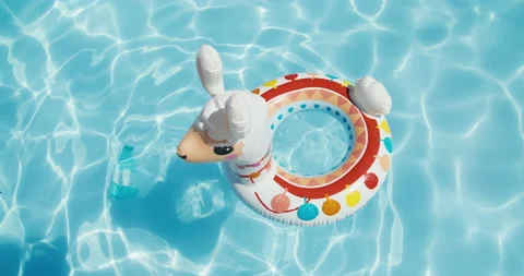 Inflatable lama ring floating in blue swimming pool water on summer vacation Stock Footage 208510178